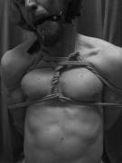 In [m]y last post I forgot the gag - Miss /u/DingDomme has made sure I atone for this...