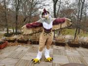 Got a new suit! Come find Aeryl at MFF for a wingy hug!