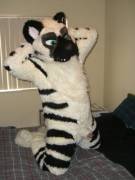 Poking out of the sheath~