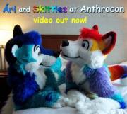 I'd love to see these two