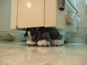 Better than a glory hole