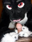 Today is my reddit birthday, heres moar porn. [m]