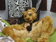 Welco[m]e to the pride.