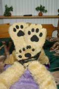 Paw addict