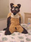 Anubis and friend [m/m]