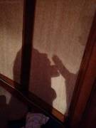 Mom told me that she was going to talk to my bully but the silhouette suggested differently