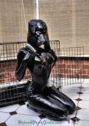 Rubber Puppy