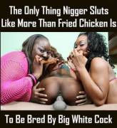 Colonize Black Wombs