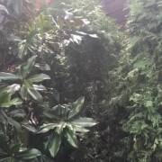 Ilana Glazer promoting her tour