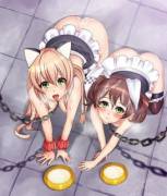 A pair of thankful puppies