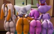 Vanilla. Rouge. Amy & Blaze Showing Their Asses. (jessen) 