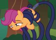Scootaloo x Tentacle animation