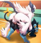 Absol loves it<3