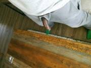 hang out with your wang out