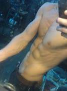 forearm and abs , what do you think ?