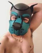 Woof! Pup Stardew saying hi to all my other trans pups here 