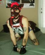 Can I have scratchies? This is my other muzzle!