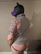 Got my first tail ^^ I'm a happy pup!