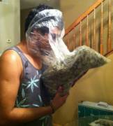 Getting high from the bag