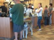 x-post from r/pics What could possibly go wrong?