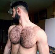Artist Tigran Mamikonyan (@tigran_mamikonyan) has nice furry pecs