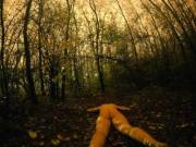 My Corpse in the Brilliant Autumn