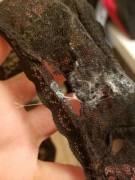 they got even creamierrr