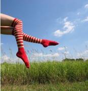 Red & White in Nature