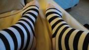 New Socks Cute or Not?