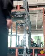 Great anatomy in these pants