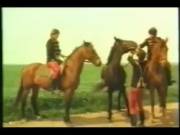 Good ol' horse riding