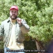 Is you an Alpha or is you a Beta ?