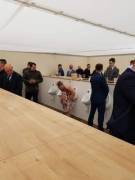 Uh, wait miss, this isn't where you're supposed to go