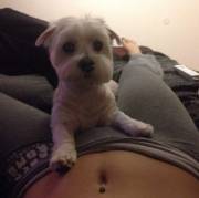 My puppy or my pussy, what’s your pick?