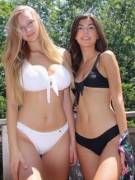 Watermelons vs bee stings