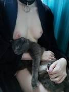 Fox [F22] is easier to get a collar on!