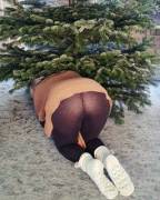 [F] sorting out the christmas wood