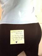 Verification Carnation 