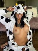 Cow Titties