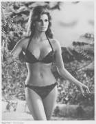 Raquel Welch