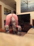 Enjoying my ankle duster