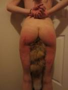 Red fox tail [NSFW]