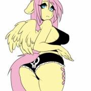 Show It Fluttershy. (tolsticot) 