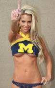 Go Michigan