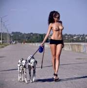 Walking the pooches