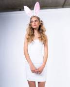 Cute bunny