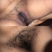 My 8 month bush growing journey