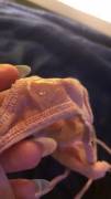 My wet panties after fantasizing about getting my holes filled