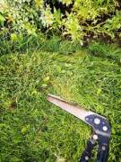 Well trimmed edging. NSFW