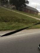 When you need to take your dog and your pet out for a walk